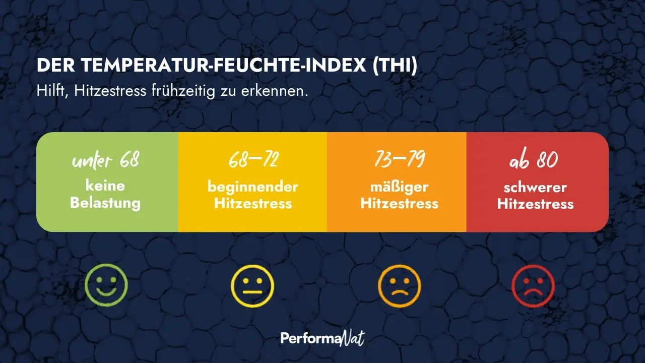 An infographic explains the Temperature-Humidity Index (THI) for cows: a value below 68 indicates no stress. Heat stress begins between 68 and 72. Values from 73 to 79 indicate moderate heat stress, and values of 80 or above indicate severe heat stress. The levels are colour-coded and accompanied by corresponding emojis.