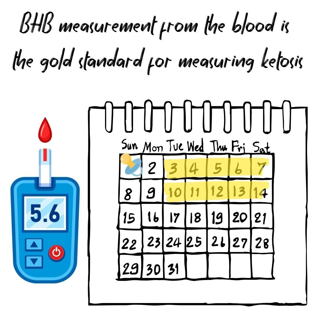 Infographic showing a blue BHB meter with a blood drop test strip next to a calendar. Text states that BHB measurement from the blood is the gold standard for measuring ketosis.
