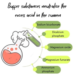 Infographic showing a laboratory flask and test tube with text explaining that buffer substances neutralize excess acid in the rumen, listing Sodium bicarbonate, Dicalcium phosphate, Magnesium oxide, Magnesium fumarate, and Ammonium phosphate.