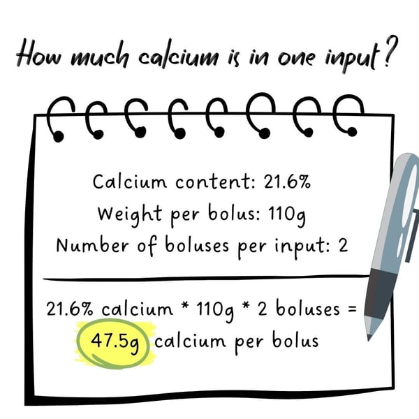 Infographic showing a calcium calculation on a notepad. Text: Calcium content 21.6%, weight per bolus 110g, number of boluses per input 2. Formula: 21.6% calcium times 110g times 2 boluses equals 47.5g calcium per bolus input, with 47.5g highlighted in yellow.