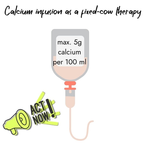 Infographic showing a calcium infusion bag for fixed-cow therapy. Text specifies a maximum dosage of 5g calcium per 100 ml, accompanied by an 'ACT NOW!' megaphone icon.