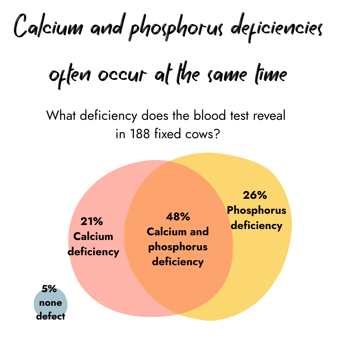Venn diagram showing nutrient deficiencies in 188 fixed cows. It reveals that 21% have a calcium deficiency, 26% have a phosphorus deficiency, and 48% suffer from both simultaneously, while 5% show no defect.