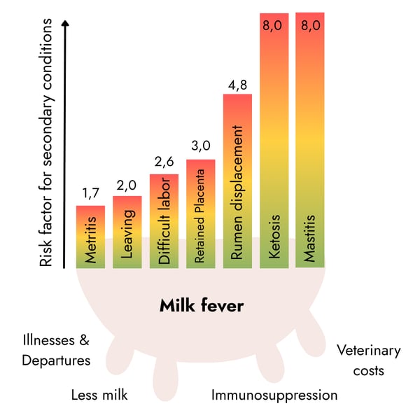 Bar chart demonstrating how milk fever increases the risk factor for secondary conditions in cattle. Rising bars indicate heightened risk values for Metritis (1.7), Leaving (2.0), Difficult labor (2.6), Retained Placenta (3.0), Rumen displacement (4.8), Ketosis (8.0), and Mastitis (8.0).
