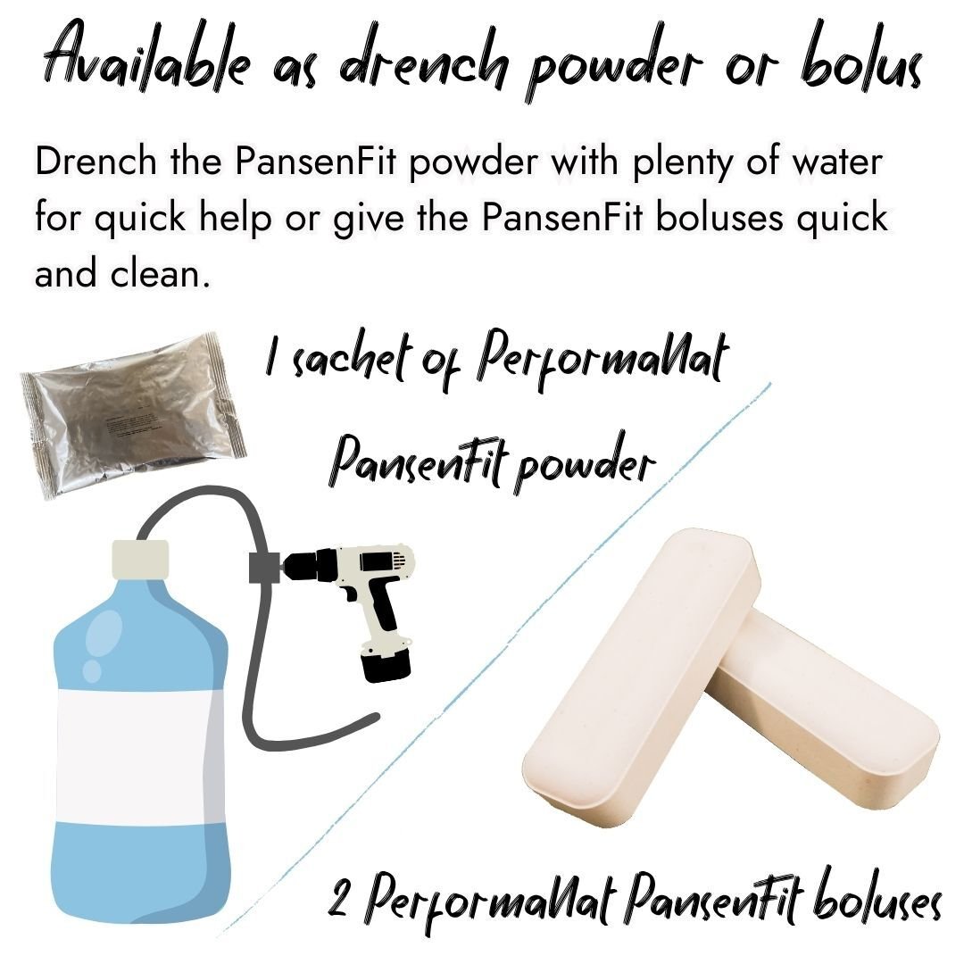 Infographic showing PerformaNat PansenFit available as drench powder or bolus. Left side illustrates 1 sachet of powder with a water container and pump system. Right side shows 2 PansenFit boluses, explaining options for quick administration.