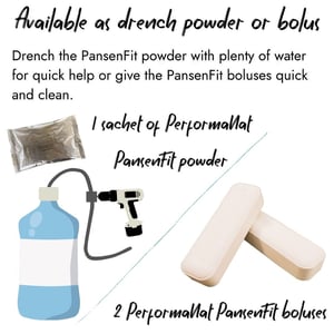 Infographic showing PerformaNat PansenFit available as drench powder or bolus. Left side illustrates 1 sachet of powder with a water container and pump system. Right side shows 2 PansenFit boluses, explaining options for quick administration.