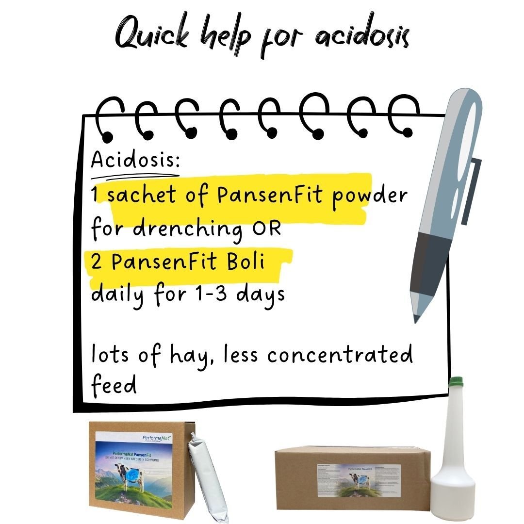 Infographic styled as a notepad showing quick help for acidosis: 1 sachet of PansenFit powder for drenching or 2 PansenFit Boli daily for 1-3 days, plus lots of hay and less concentrated feed. Product boxes and a drenching bottle are shown below.