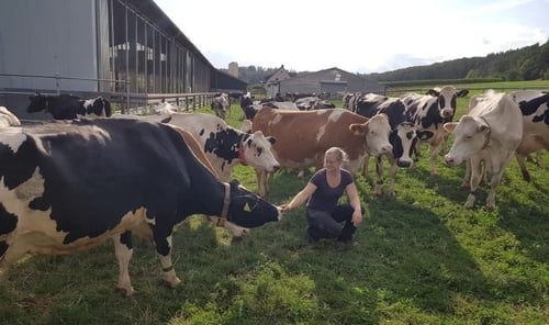 Eine Frau hockt in der Mitte einer Wiese, um sie herum sind viele Kühe