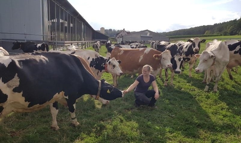 Eine Frau hockt in der Mitte einer Wiese, um sie herum sind viele Kühe