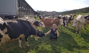 Eine Frau hockt in der Mitte einer Wiese, um sie herum sind viele Kühe