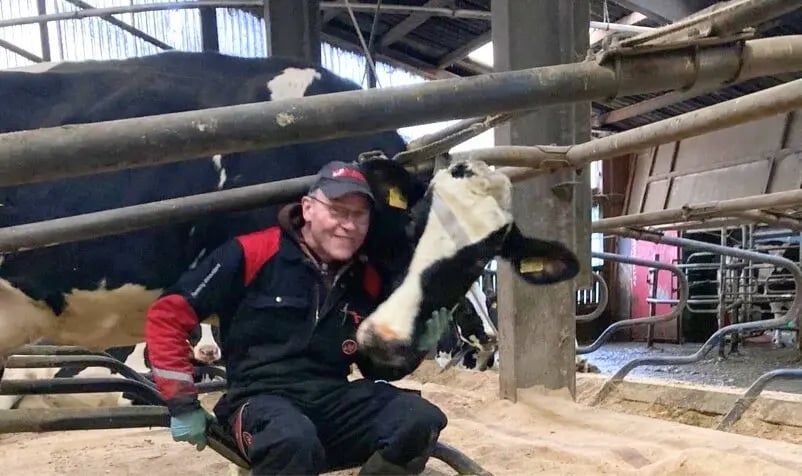 Landwirt Frank Jacobsen steht lächelnd vor seinen fressenden schwarzbunten Kühen. PerformaNat CalciumBolus Erfahrung.