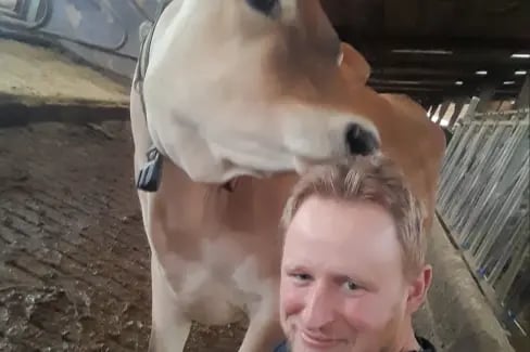 Landwirt der Wennekamp GbR sitzt vor einer Holstein-Kuh, die an dessen Haaren leckt.
