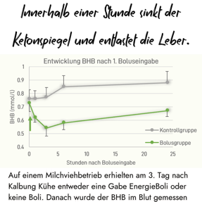 Ein Liniendiagramm zeigt die Entwicklung des BHB-Werts nach der Zufuhr eines EnergieBolus. Im Vergleich zur Kontrollgruppe sinkt der Ketonspiegel der Bolusgruppe innerhalb einer Stunde signifikant.