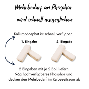 Eine Infografik zeigt, wie der Mehrbedarf an Phosphor im Kalbezeitraum gedeckt wird: Zwei Eingaben mit je zwei Boli liefern insgesamt 96 g hochverfügbares Phosphor aus Kaliumphosphat.