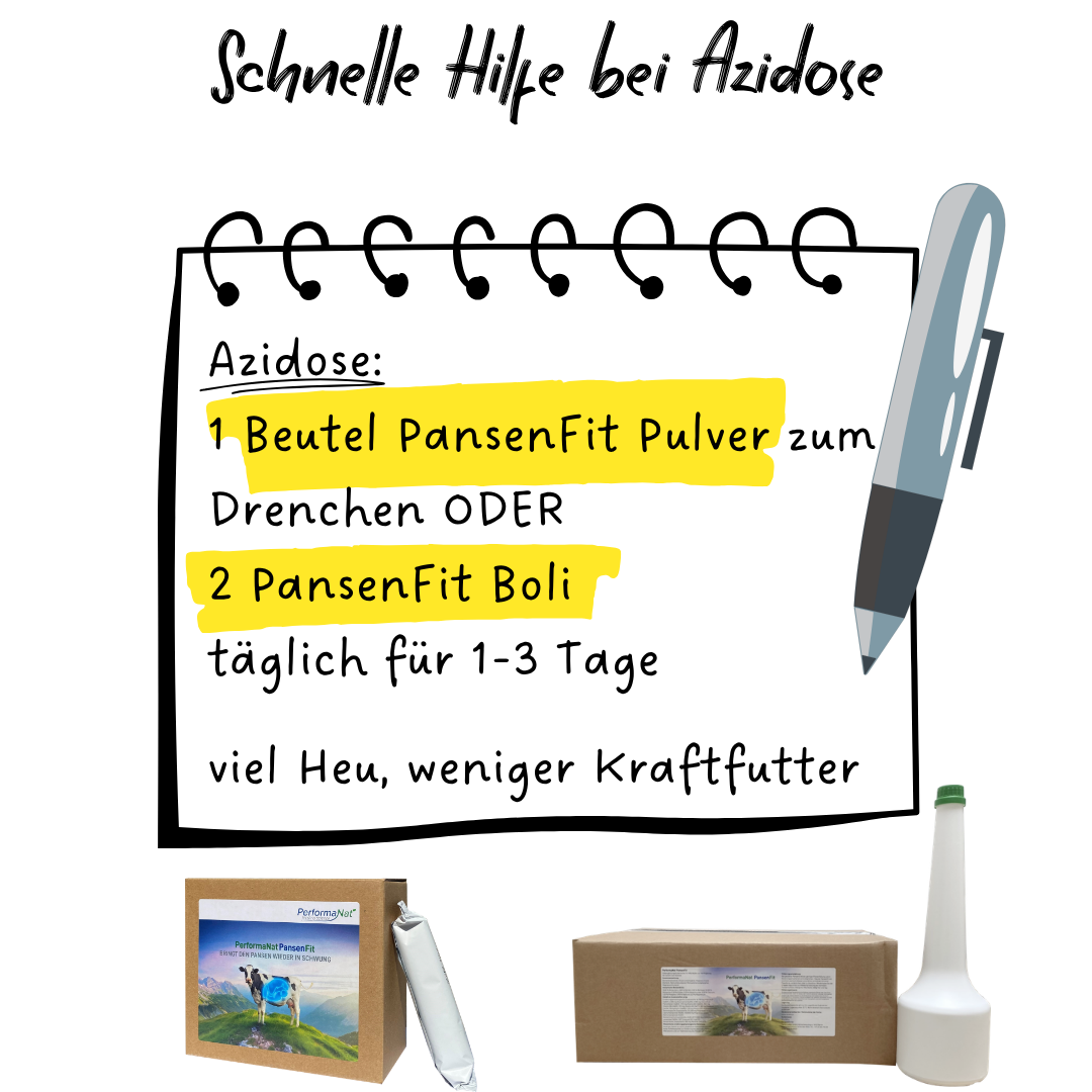 Infografik von PerformaNat zur Behandlung von Azidose bei Kühen. Ein Notizzettel zeigt die Dosierung von 1 Beutel PansenFit Pulver zum Drenchen oder 2 PansenFit Boli täglich für 1–3 Tage sowie die Fütterungsempfehlung: viel Heu, weniger Kraftfutter.