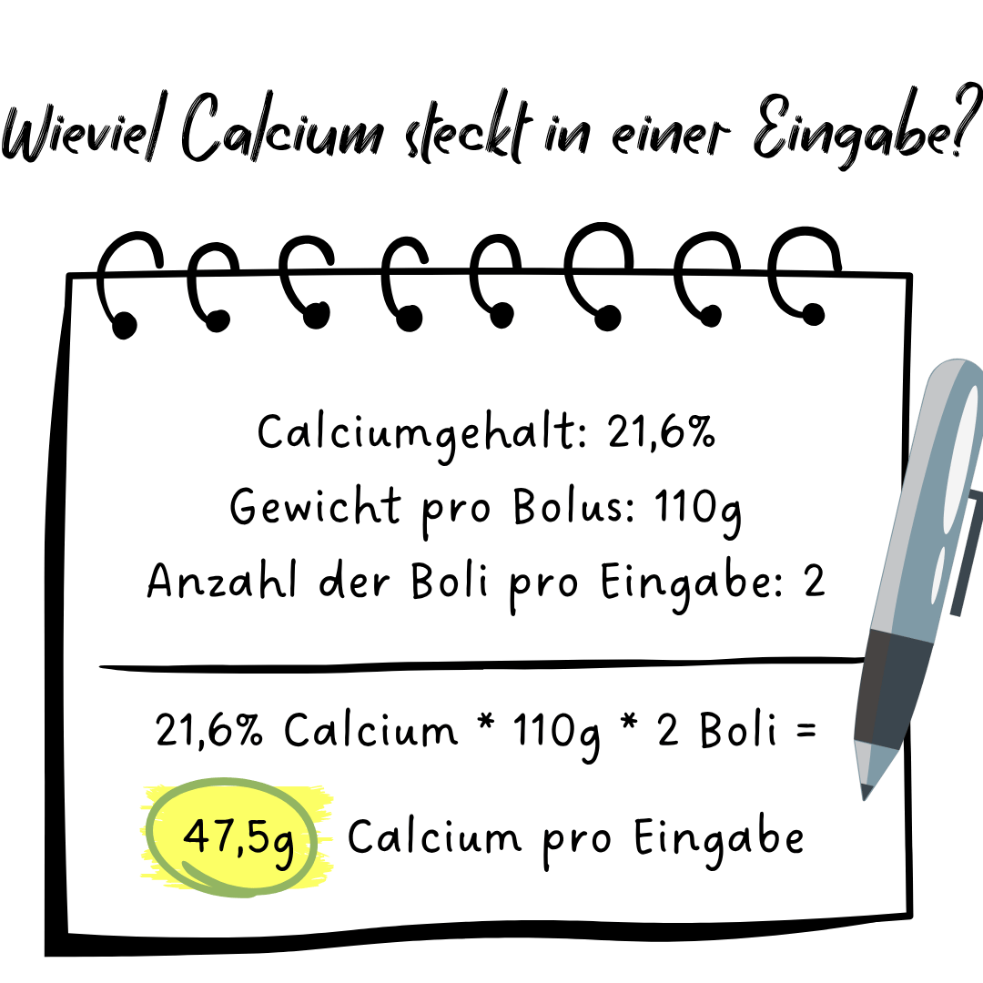 Eine Grafik auf einem Notizblock zeigt die Berechnung des Calciumgehalts pro Eingabe: Zwei Boli à 110 g liefern insgesamt 47,5 g Calcium.