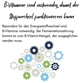Infografik von PerformaNat zum Energiestoffwechsel der Kuh. Ein komplexes Zahnradsystem in Blau-, Grün- und Weißtönen verdeutlicht die zentrale Rolle von B-Vitaminen bei der Behebung von Fermentationsstörungen.