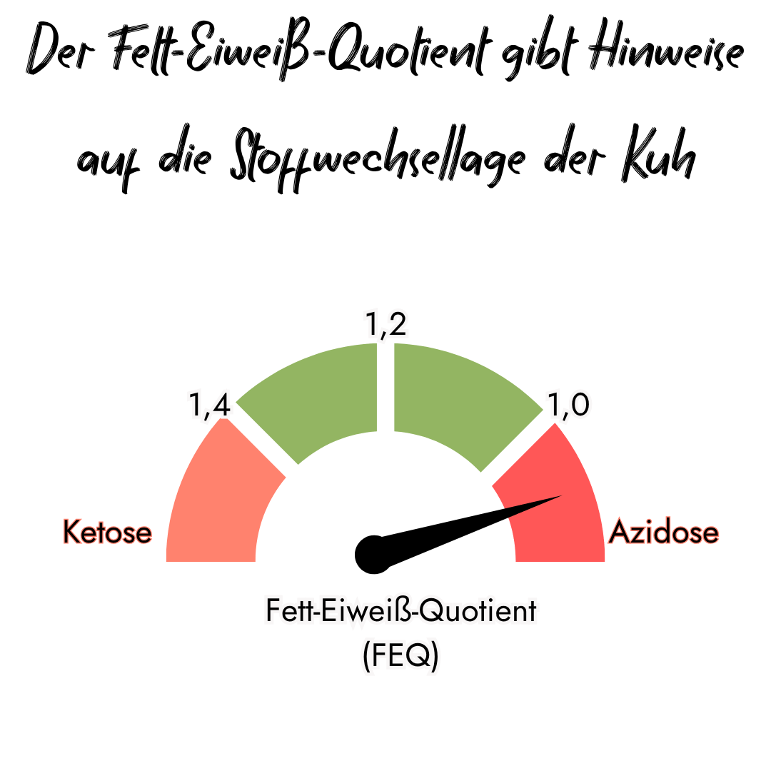 Infografik von PerformaNat zum Fett-Eiweiß-Quotienten (FEQ) bei Kühen. Eine Tacho-Anzeige markiert den optimalen Bereich bei 1,2 sowie die Gefahrenbereiche für Ketose (ab 1,4) und Azidose (unter 1,0).