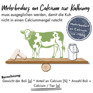 Eine Waage veranschaulicht den Calcium-Mehrbedarf einer Kuh zur Kalbung von 190g, der durch Calciumboli ausgeglichen wird.