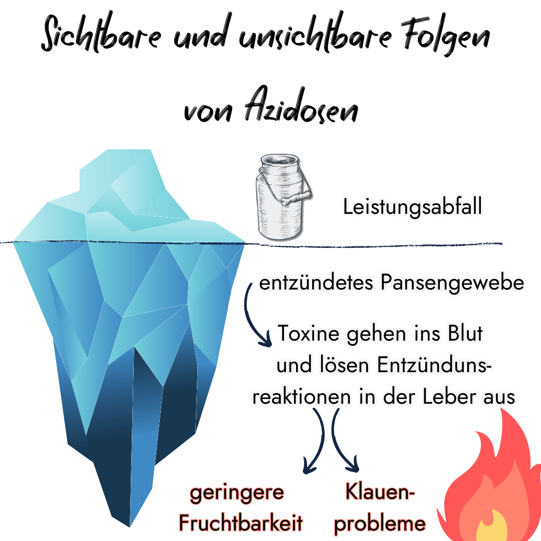 Infografik von PerformaNat zur Pansengesundheit der Kuh. Ein Eisberg-Modell veranschaulicht, dass über der Oberfläche nur ein Leistungsabfall sichtbar ist, während darunter entzündetes Pansengewebe, Toxine im Blut, geringere Fruchtbarkeit und Klauenprobleme sind.