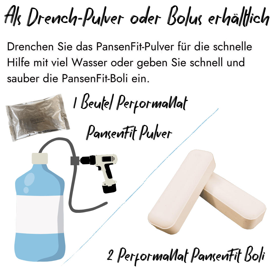 Infografik von PerformaNat zur Anwendung von PansenFit. Die linke Seite zeigt das Pulver mit einer Drenchflasche für die flüssige Gabe, die rechte Seite zeigt zwei Boli für die schnelle, direkte Eingabe bei der Kuh.