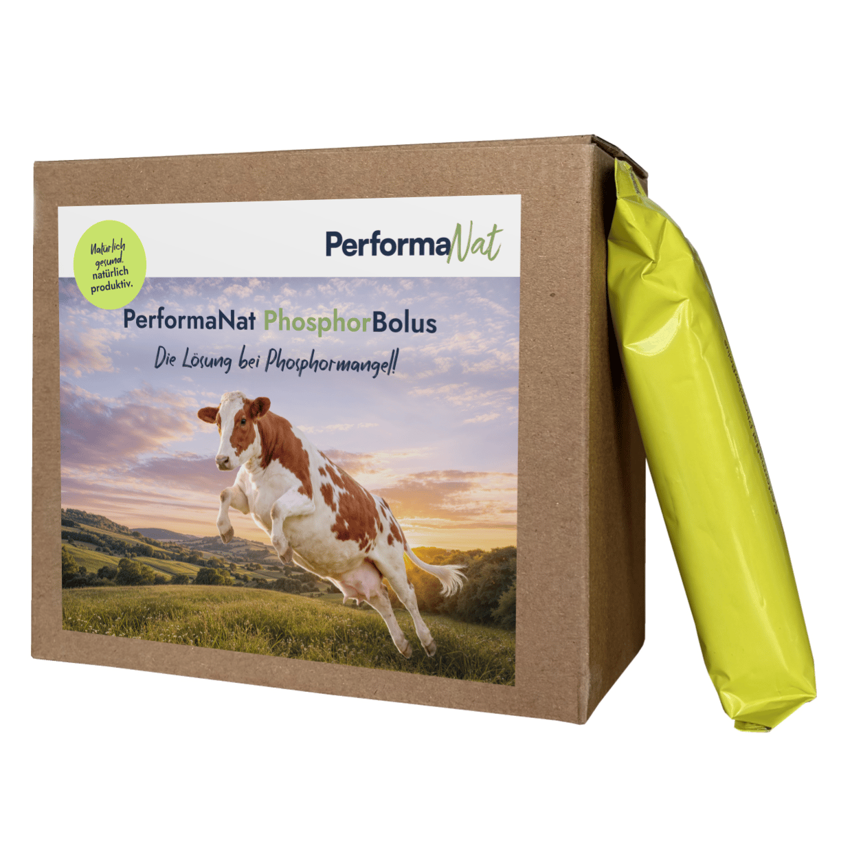 Die Verpackung des PerformaNat PhosphorBolus steht neben einem einzelnen, gelb-grün verpackten Bolus. Auf der Schachtel ist eine vital springende Kuh auf einer Weide abgebildet, passend zum Slogan 'Die Lösung bei Phosphormangel!'. Die Verpackung des PerformaNat PhosphorBolus steht neben einem einzelnen, gelb-grün verpackten Bolus. Auf der Schachtel ist eine vital springende Kuh auf einer Weide abgebildet, passend zum Slogan 'Die Lösung bei Phosphormangel!'.