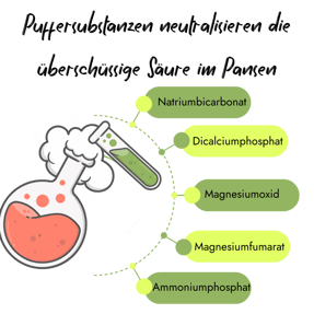 Infografik von PerformaNat zur Regulierung von Übersäuerung im Pansen der Kuh. Ein Laborkolben veranschaulicht die Wirkung von Puffersubstanzen wie Natriumbicarbonat, Dicalciumphosphat und Magnesiumoxid.