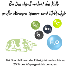 Anschauliche Infografik mit einem liegenden Kalb und Molekülsymbolen für Natrium, Kalium, Chlorid, Hydrogencarbonat sowie Wasser. Der Text warnt davor, dass der Flüssigkeitsverlust bei Kälberdurchfall dramatische 20 % des Körpergewichts erreichen kann.