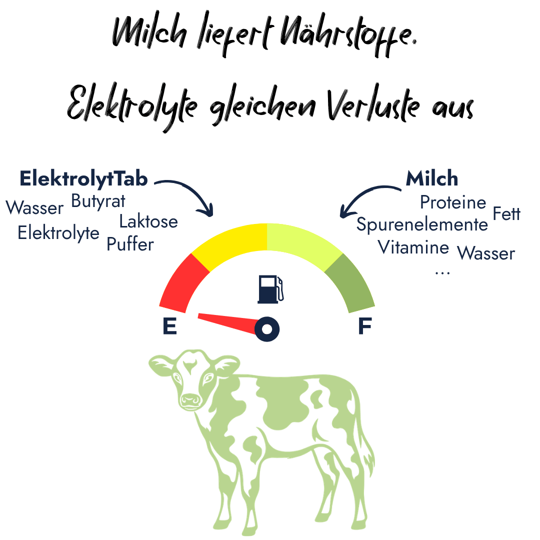 Infografik zeigt eine Tankanzeige über einem Kalb mit dem Text 'Milch liefert Nährstoffe. Elektrolyte gleichen Verluste aus.' Dargestellt wird die Kombination aus ElektrolytTab (Wasser, Butyrat, Laktose, Puffer) und Milch (Proteine, Fett, Vitamine).