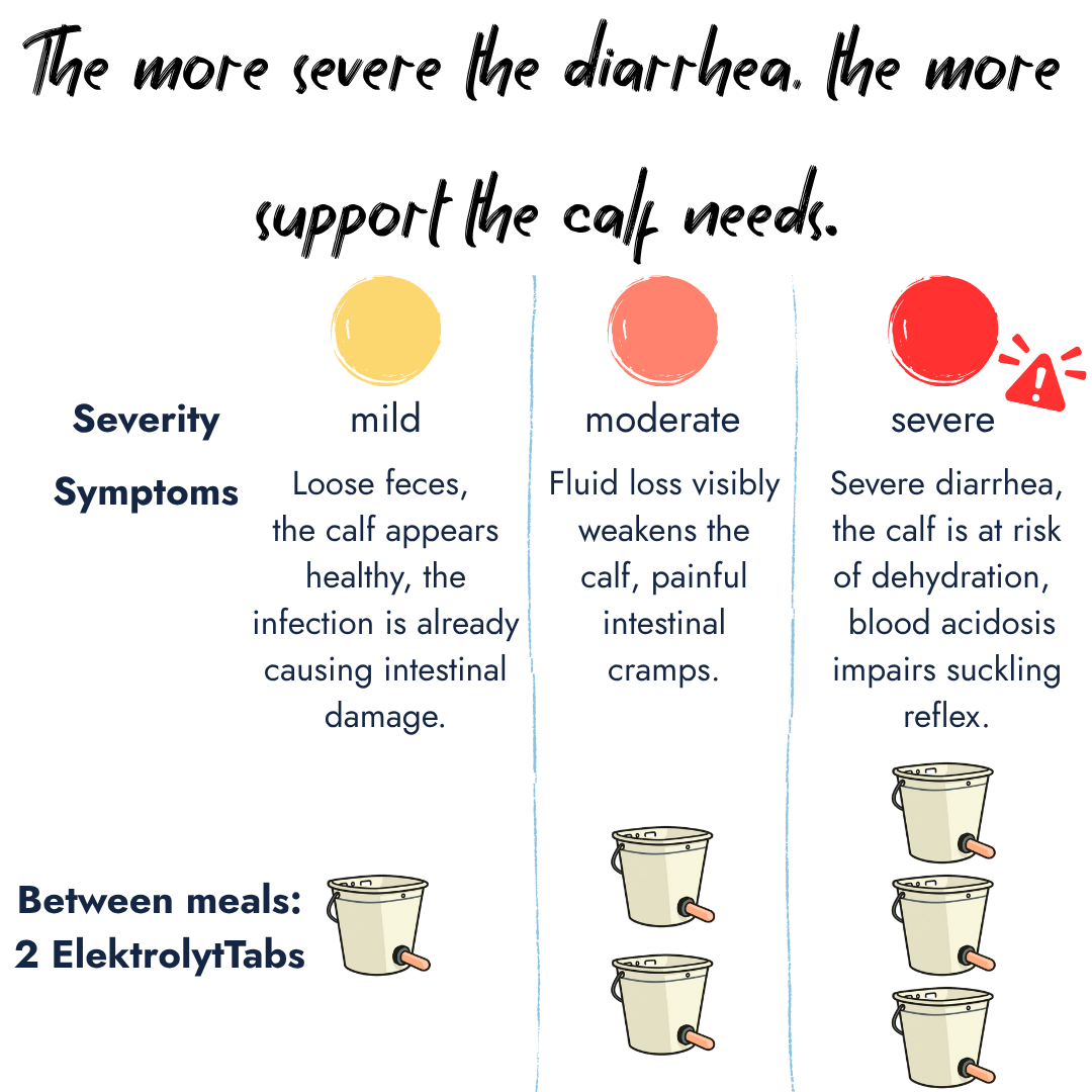 An infographic categorizing calf diarrhea into mild, moderate and severe stages with matching symptoms and recommended feeder bucket doses of Elektrolyt Tabs between meals.