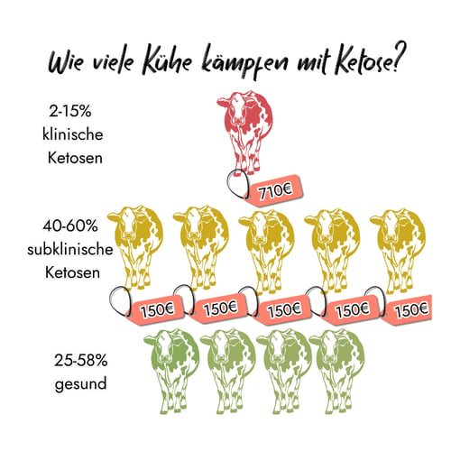 Ketose-Statistik