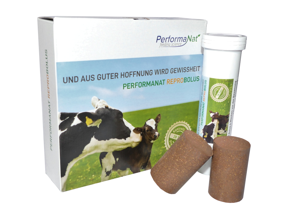 Product packaging for PerformaNat ReproBolus featuring the slogan "And hope becomes certainty," shown next to a tube and two brown boluses. Product packaging for PerformaNat ReproBolus featuring the slogan "And hope becomes certainty," shown next to a tube and two brown boluses.
