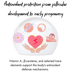 An illustration inside a protective glass dome showing stages of cow reproduction and oocyte development surrounding a glowing heart supported by hands.