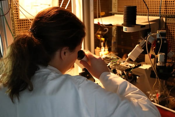 A researcher with brown hair tied back in a ponytail looks intently through the eyepiece of a laboratory microscope. She is wearing a white lab coat and is working in a warmly lit laboratory environment, analyzing samples.