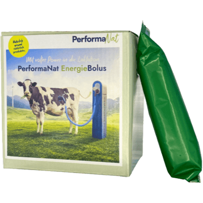 Die Verpackung des PerformaNat EnergieBolus steht neben einem einzelnen, grün verpackten Bolus. Auf der Schachtel ist eine Kuh an einer Ladestation abgebildet, passend zum Slogan 'Mit voller Power in die Laktation'. Die Verpackung des PerformaNat EnergieBolus steht neben einem einzelnen, grün verpackten Bolus. Auf der Schachtel ist eine Kuh an einer Ladestation abgebildet, passend zum Slogan 'Mit voller Power in die Laktation'.