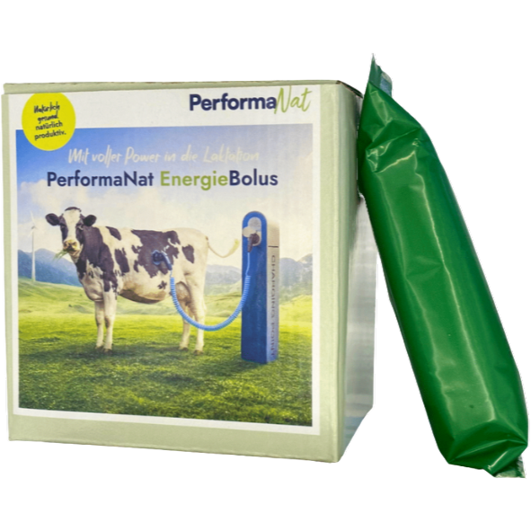 The packaging of the PerformaNat EnergyBolus stands next to a single bolus packaged in green. The box shows a cow at a charging station, in keeping with the slogan 'With full power into lactation'. The packaging of the PerformaNat EnergyBolus stands next to a single bolus packaged in green. The box shows a cow at a charging station, in keeping with the slogan 'With full power into lactation'.