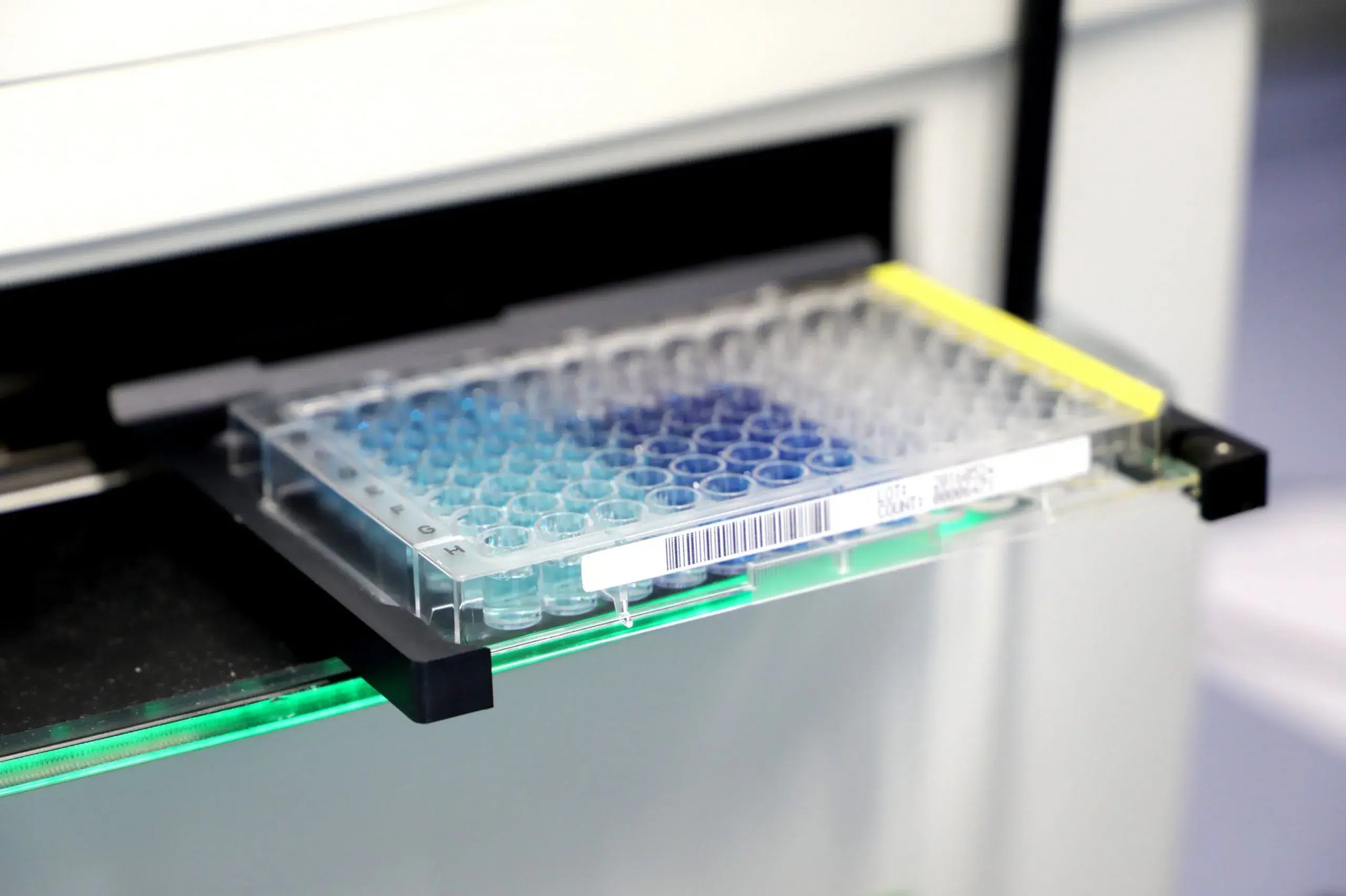 Microtiter plate in the laboratory for molecular biological screening of target molecules.