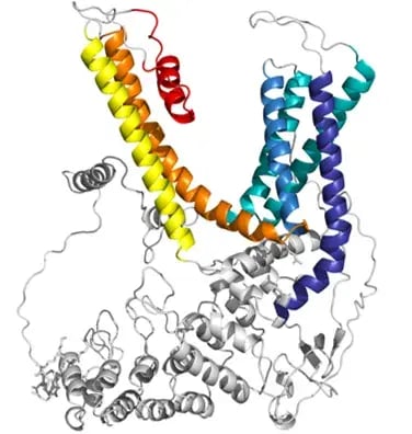 The 3D graphic shows a TRP channel. PerformaNat is researching these ion channels for innovative solutions in animal nutrition.