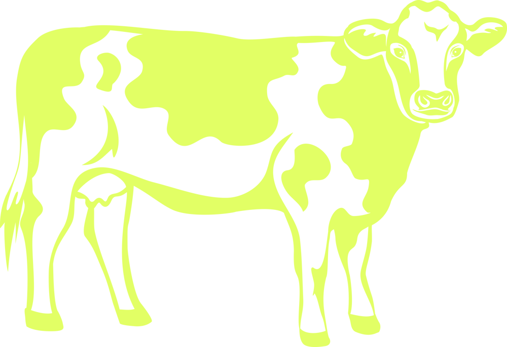 Light green illustration of a standing cow. An optimal calcium supply effectively protects dairy cows from milk fever. Light green illustration of a standing cow. An optimal calcium supply effectively protects dairy cows from milk fever.