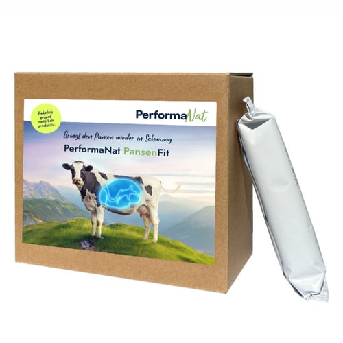 Produktbox von PerformaNat PansenFit mit einer Schlauchverpackung (Bolus oder Pulverbeutel). Das Etikett zeigt eine Kuh auf einer Weide mit einem leuchtend hervorgehobenen Pansen und den Slogan 'Bringt den Pansen wieder in Schwung'.