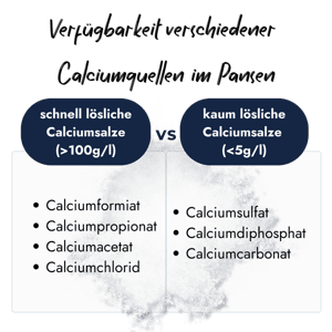 Eine Grafik vergleicht Calciumquellen im Pansen: schnell lösliches Calciumformiat gegenüber kaum löslichen Calciumsalzen.