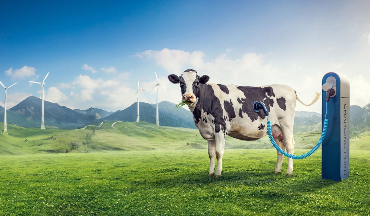 Montage einer schwarzbunten Kuh auf einer grünen Bergwiese, die über ein blaues Kabel an eine E-Auto-Ladestation mit der Aufschrift ‚Charging Point‘ angeschlossen ist; im Hintergrund Windkraftanlagen und Berge.