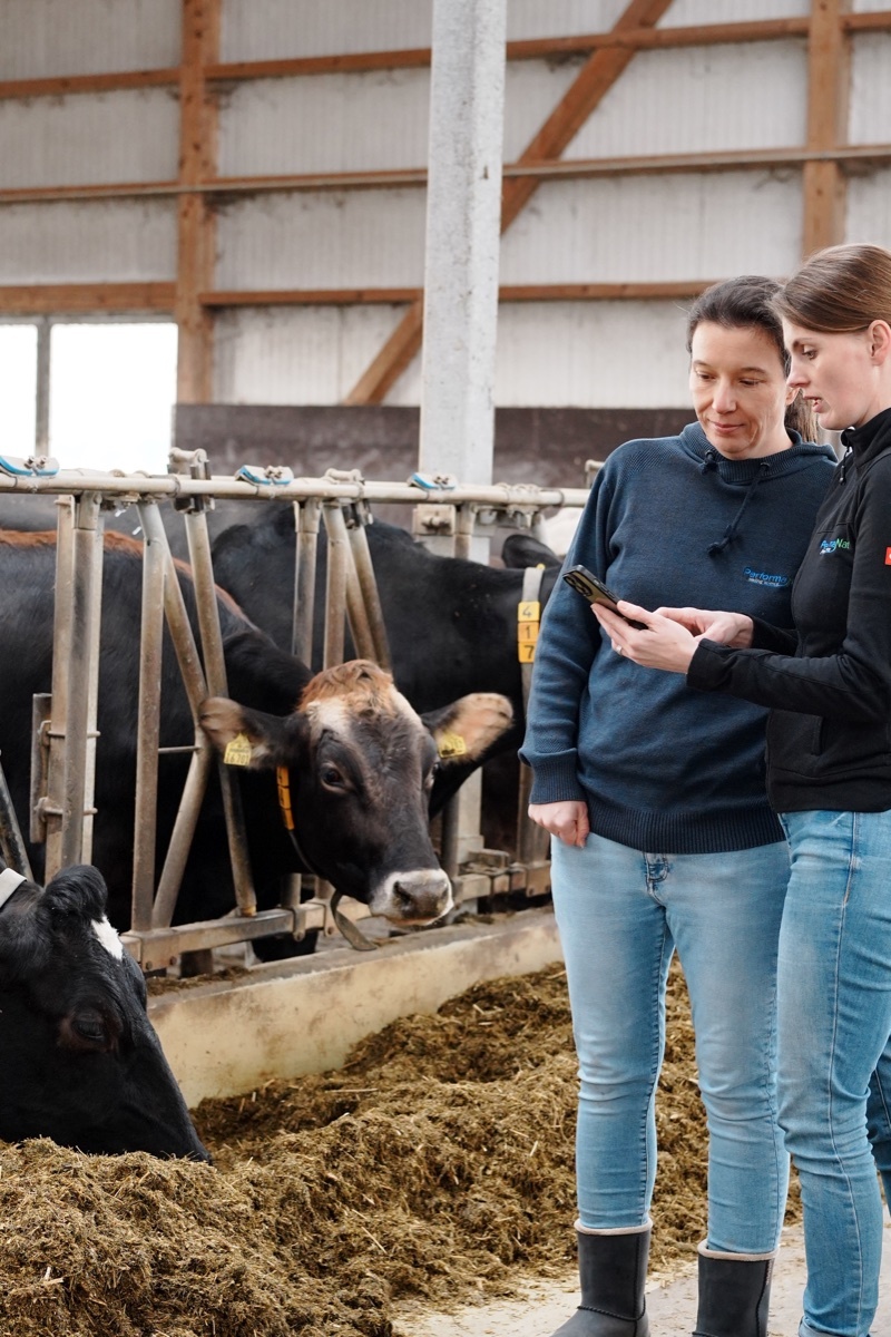 Die PerformaNat-Gründerinnen Katharina Schrapers und Julia Rosendahl bei der Arbeit im Milchviehstall
